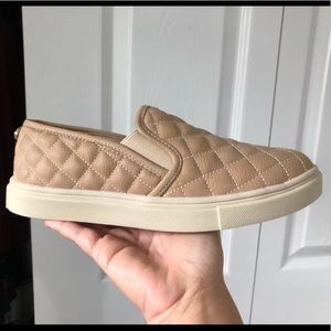 Steve Madden ecentrcq